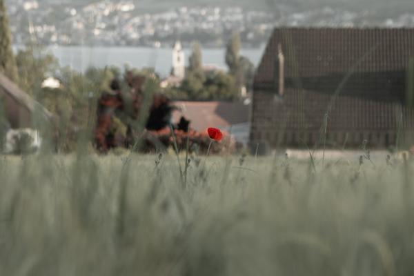 How To See Address Before Accepting Doordash